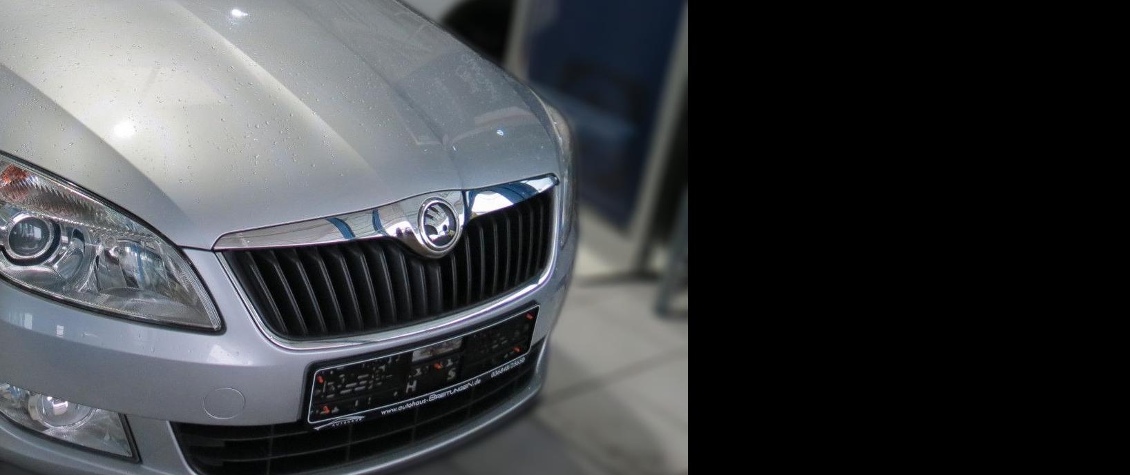 Skoda Fabia Combi 1.6 TDI Ambition,SHZ,Klimaaut.,Wint